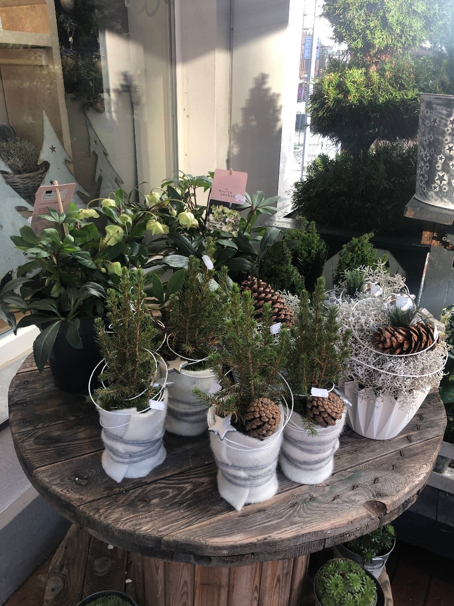 Floristisches Detail